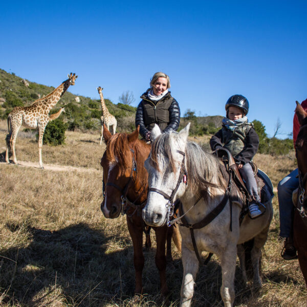 familie-vakanties-safari-te-paard