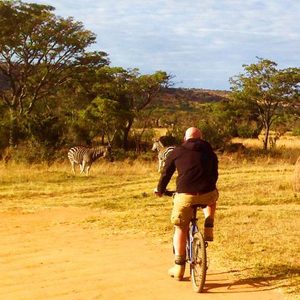 fietsen tussen wilde dieren