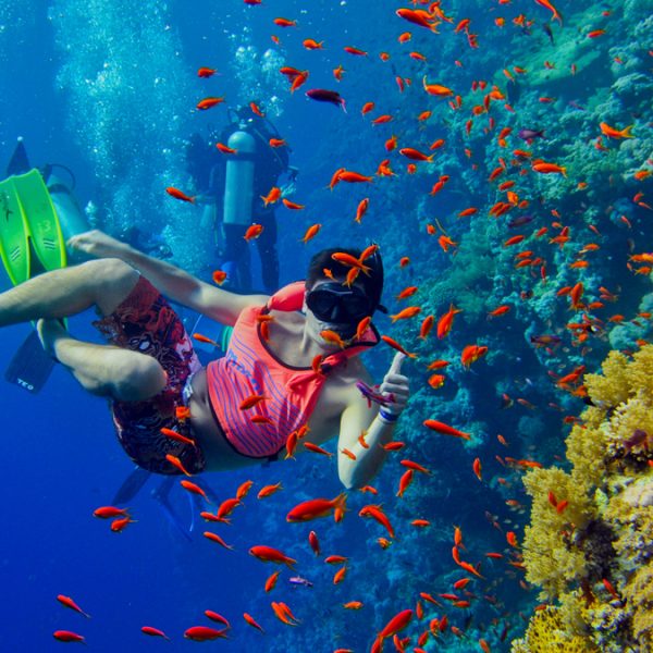 snorkelen in zanzibar