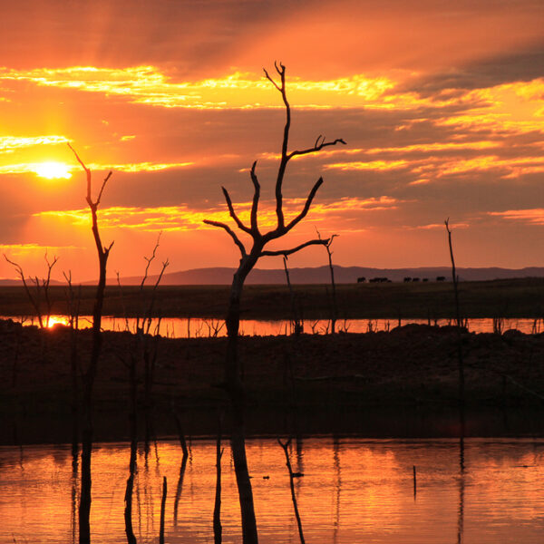 Zimbabwe-Sunset-Pam-Preston